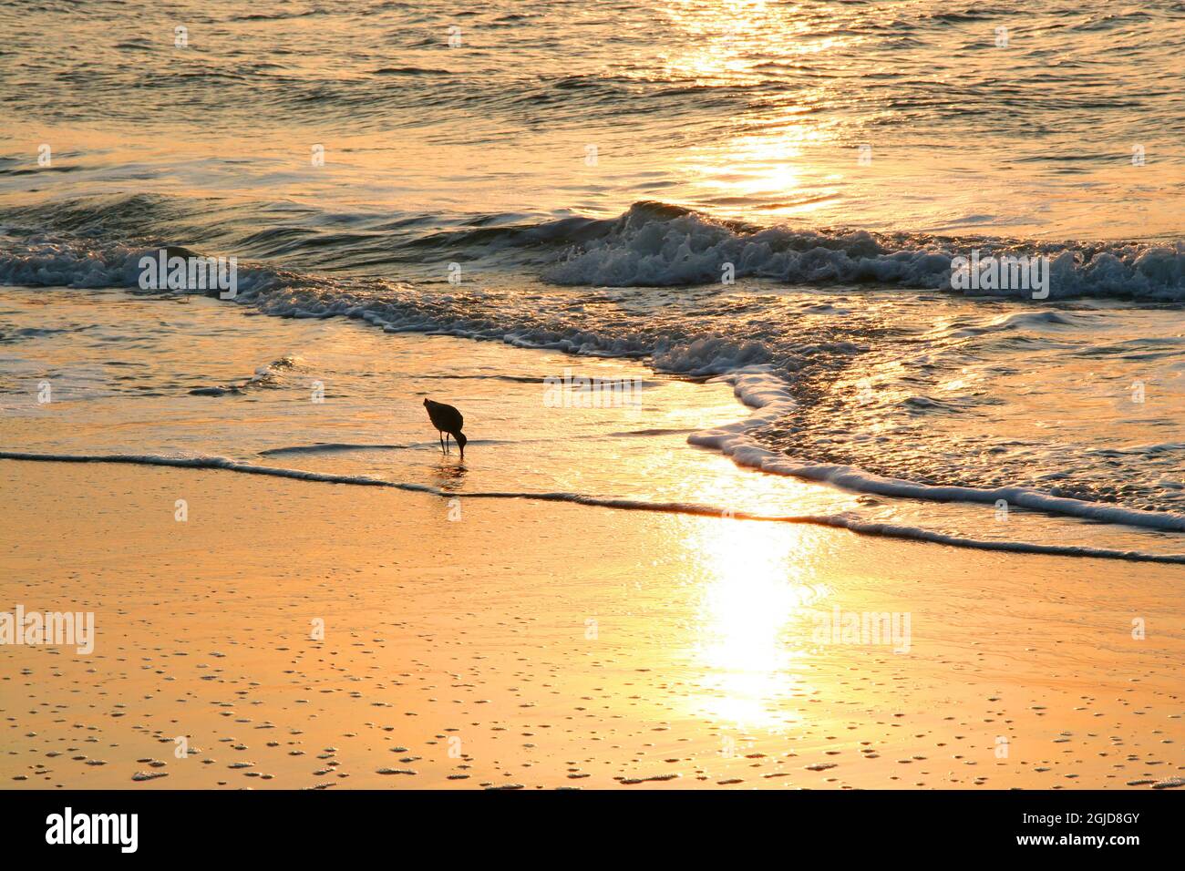 Sunrise on Atlantic Beach Stock Photo - Alamy