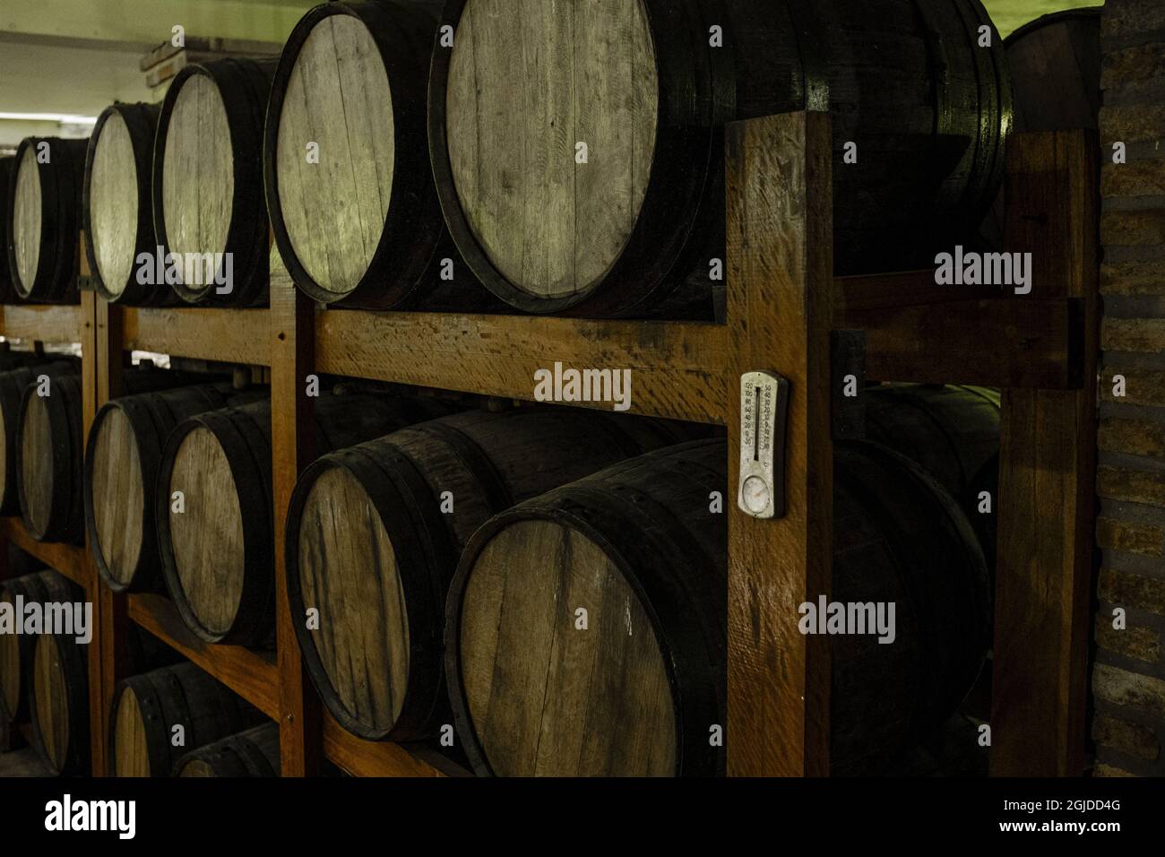 Large cellar for wine reservation in the interior of the state of Sao