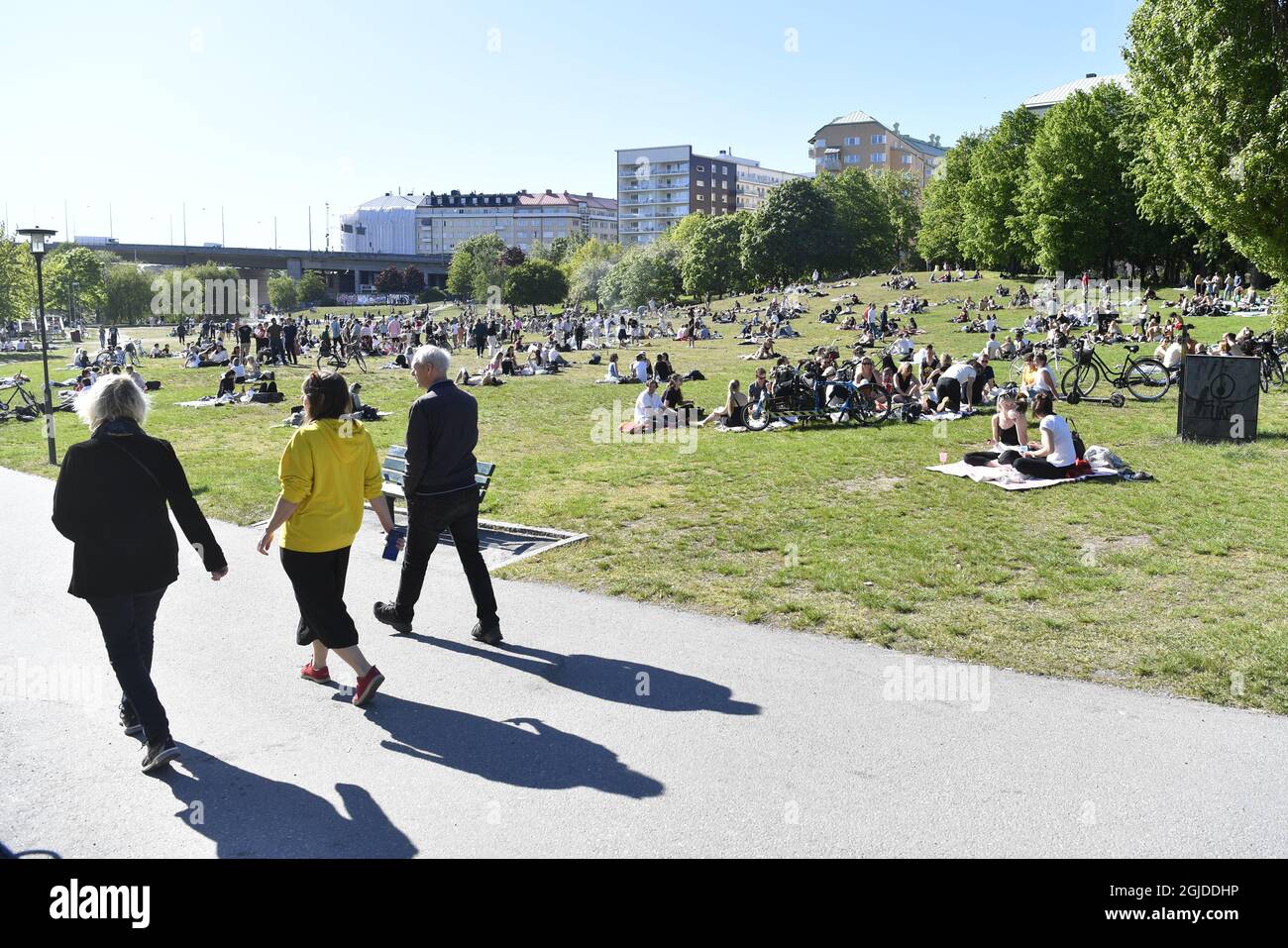 STOCKHOLM 20200530 A lot of people in Tantolunden park on Saturday May 30, 2020 during the corona pandemic. Social distancing or not. Photo: Henrik Montgomery / TT / kod 10060 *SWEDEN OUT*  Stock Photo