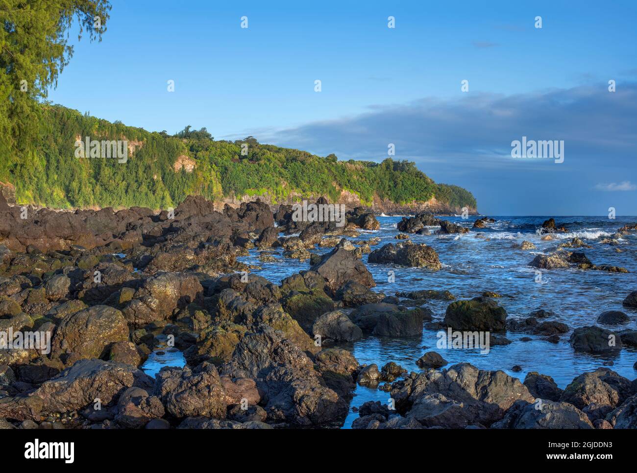 USA, Hawaii, Big Island of Hawaii. Laupahoehoe Point Beach Park, Sunrise on volcanic rock, incoming waves and distant forest. Stock Photo