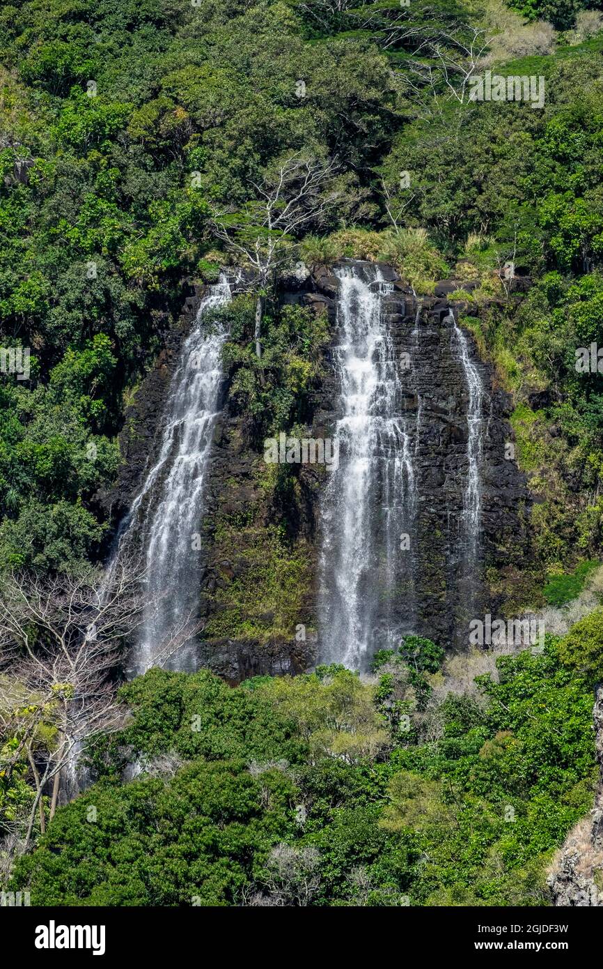 Opaeka'a Falls, Wailua River State Park, Lihue, Kauai, Hawaii, USA. Stock Photo