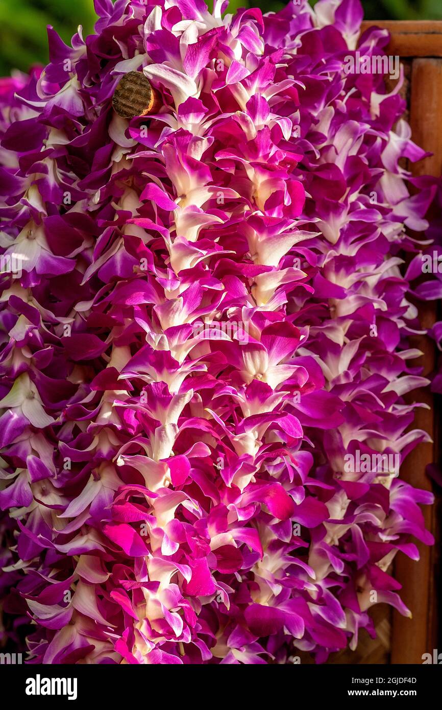 Traditional hawaiian leis hi-res stock photography and images - Alamy