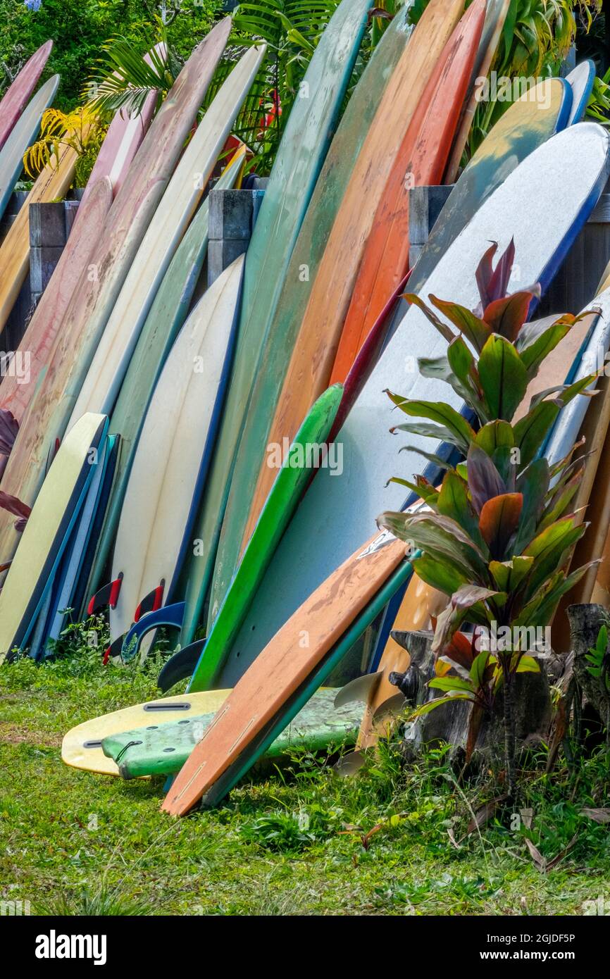 Surfboards and bodyboards, Kauai, Hawaii, USA Stock Photo Alamy