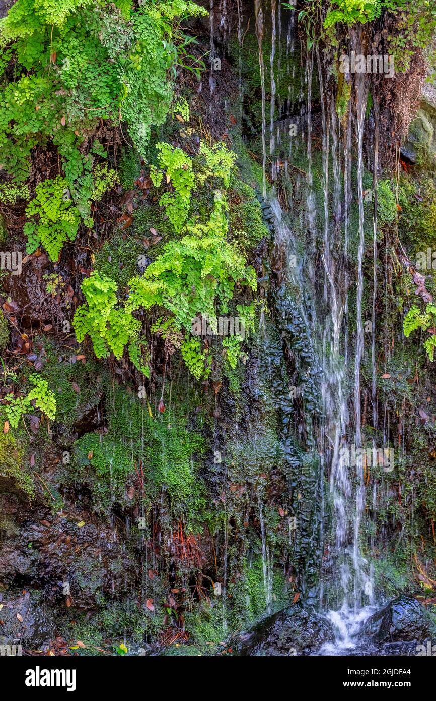 Waterfall, Kauai, Hawaii, USA. Stock Photo