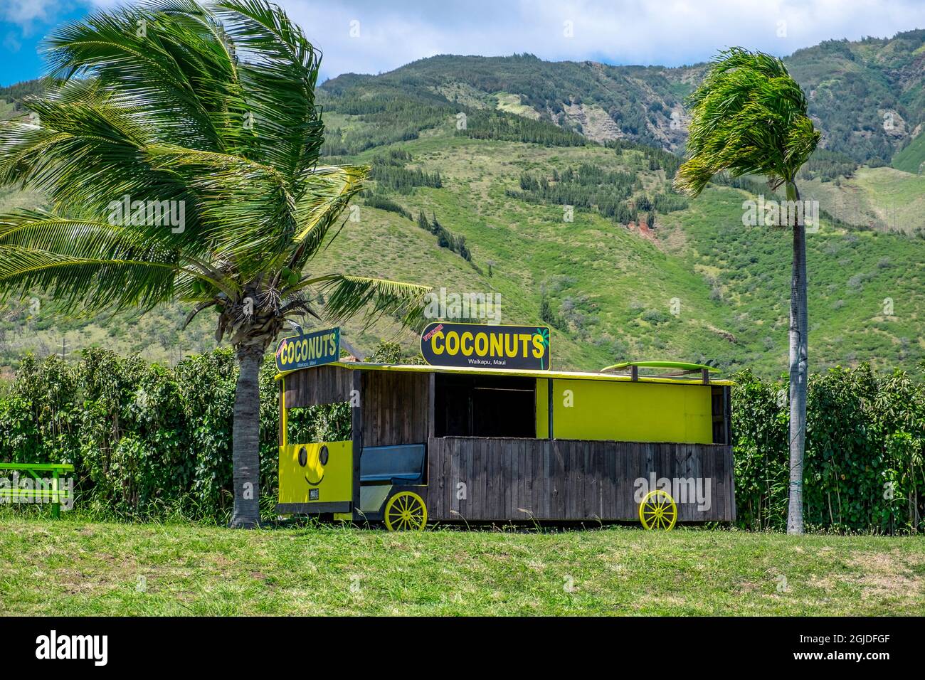 Coconut stand, Waikapu, Maui, Hawaii, USA Stock Photo Alamy