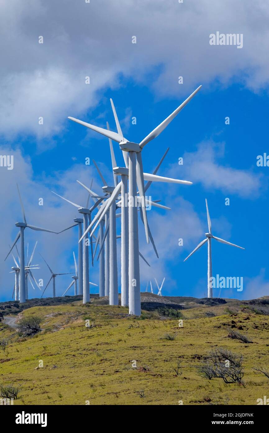 Kaheawa Wind Power, Maalaea, Maui, Hawaii, USA Stock Photo Alamy