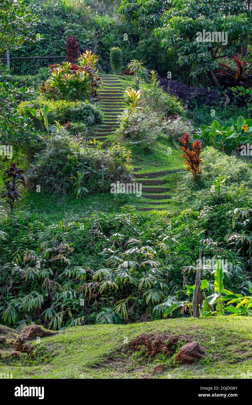 Kauai botanical garden hi-res stock photography and images - Alamy