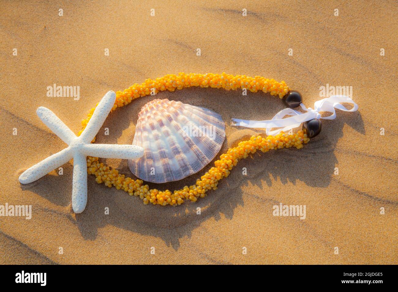 USA, Hawaii, Maui, Kihei beach with lei, starfish and clam shell in
