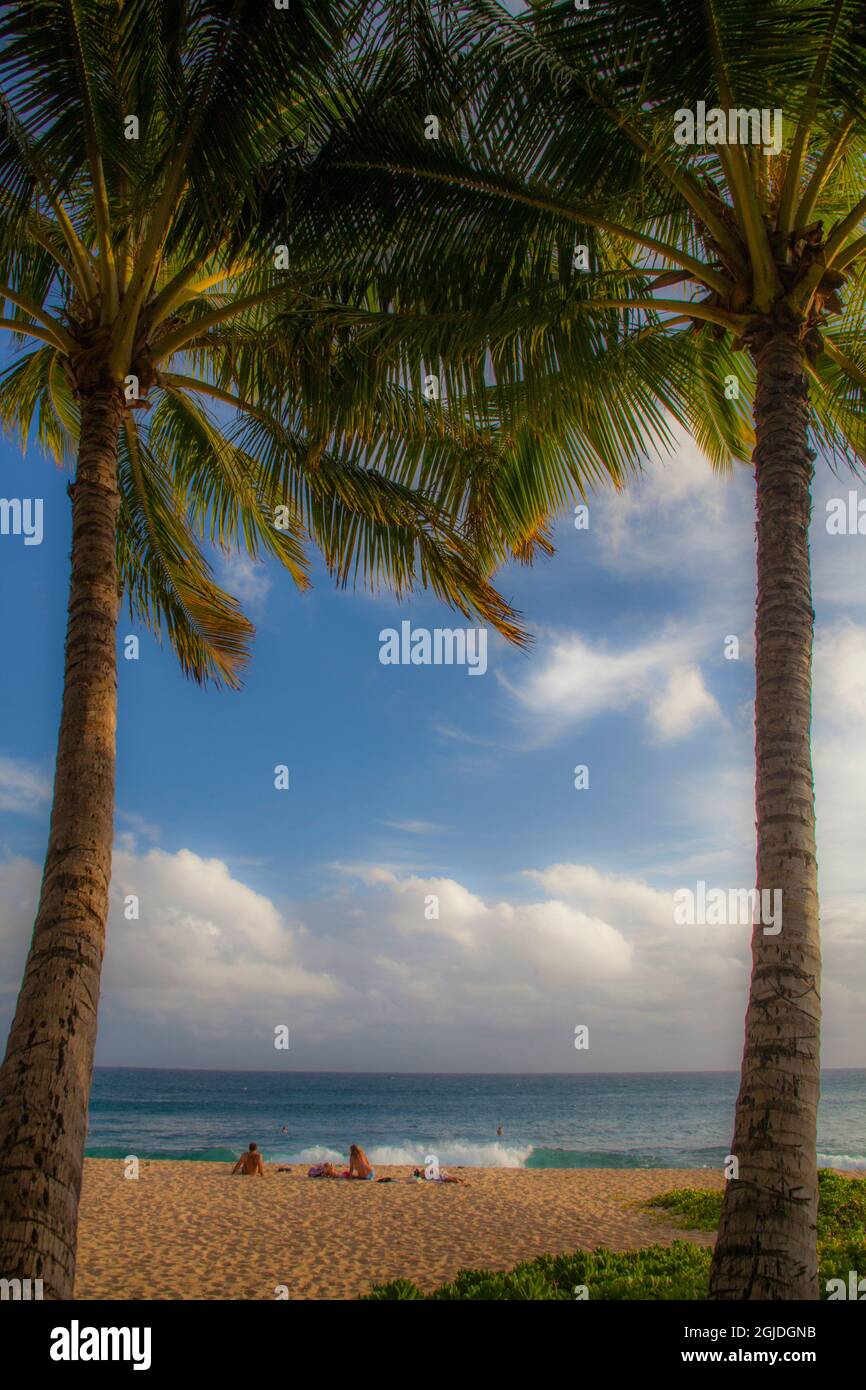 USA, Hawaii, Kauai, Poipu, palm trees framing beach Stock Photo Alamy