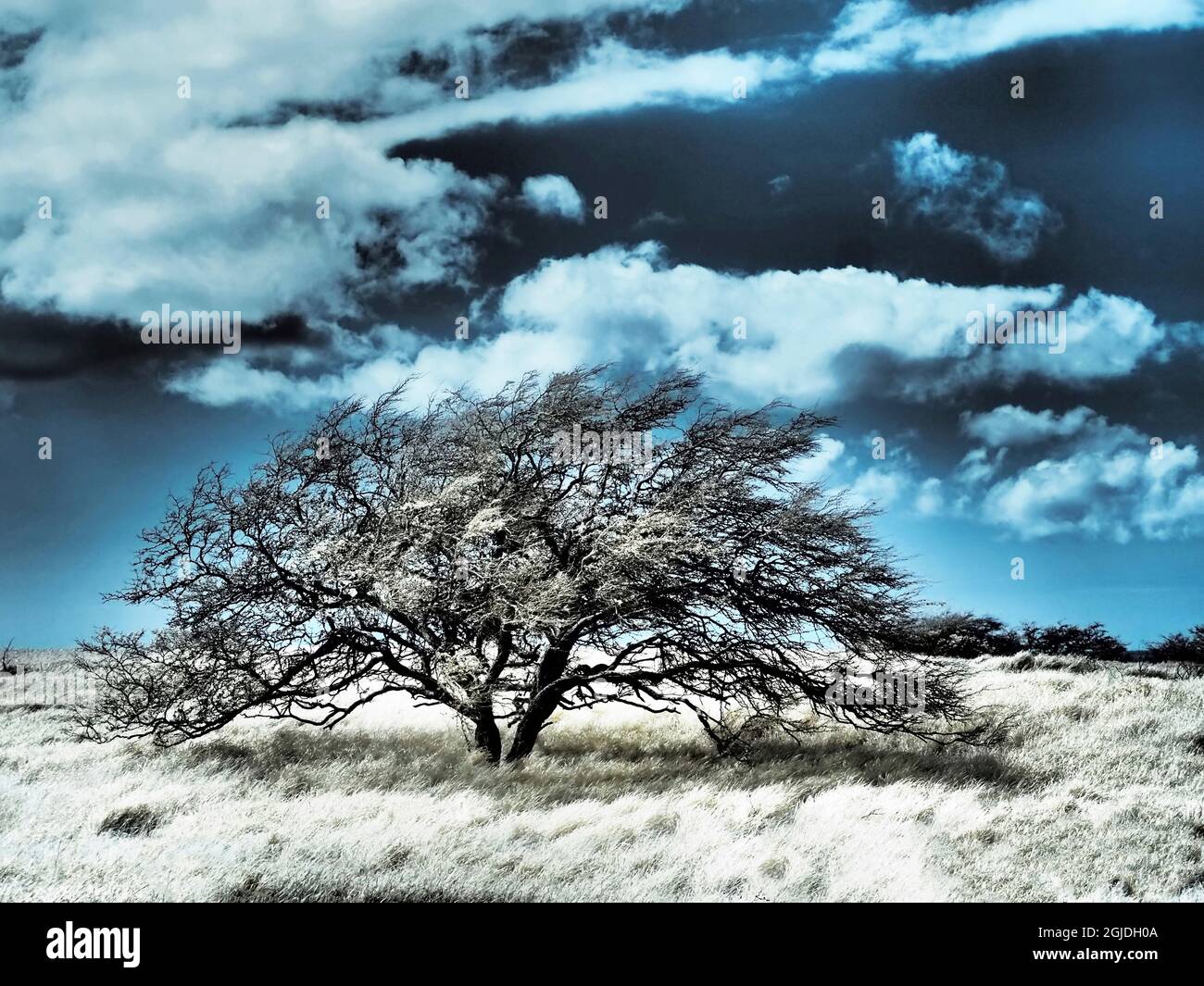 Vibrant hillside hi-res stock photography and images - Alamy