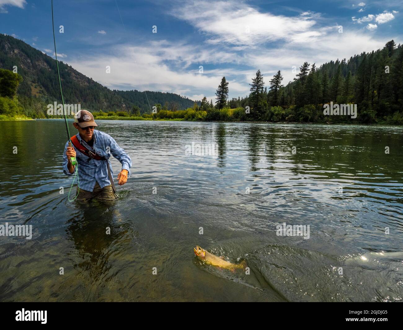 Fly fisherman reeling in a Snake River Rainbow Trout, South Fork of
