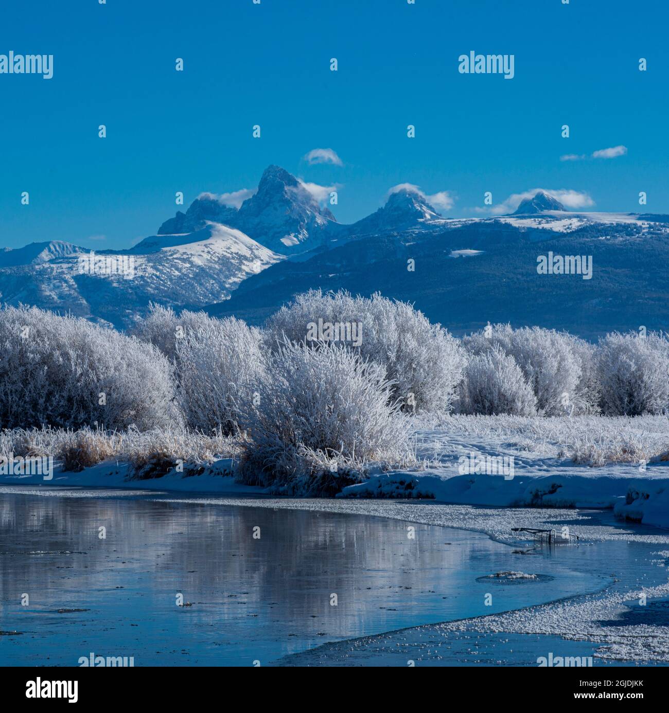 USA. Idaho. Winter, Teton River, and rimed vegetation, Teton Mountains, Driggs, Idaho Stock Photo