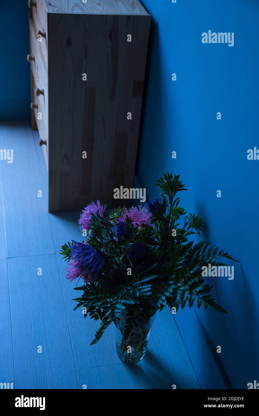 Blue moody interior with bright wooden chest of drawers and   aster flowers bouquet on parquet. Mysterious lifestyle background. Stock Photo