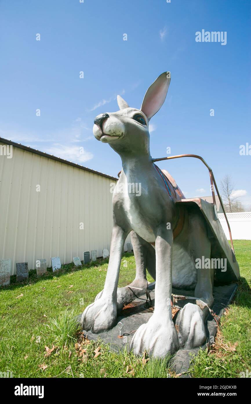 Henry's rabbit ranch hires stock photography and images Alamy