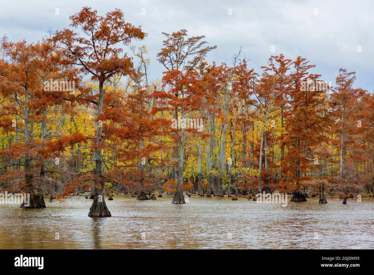 Horseshoe lake state fish and w hires stock photography and images Alamy