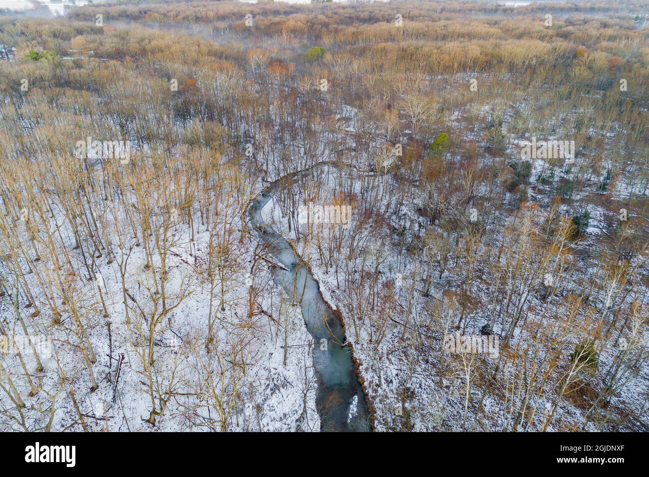 Aerial view of winter forest and creek Stephen A. Forbes State Park, Marion County, Illinois. Stock Photo