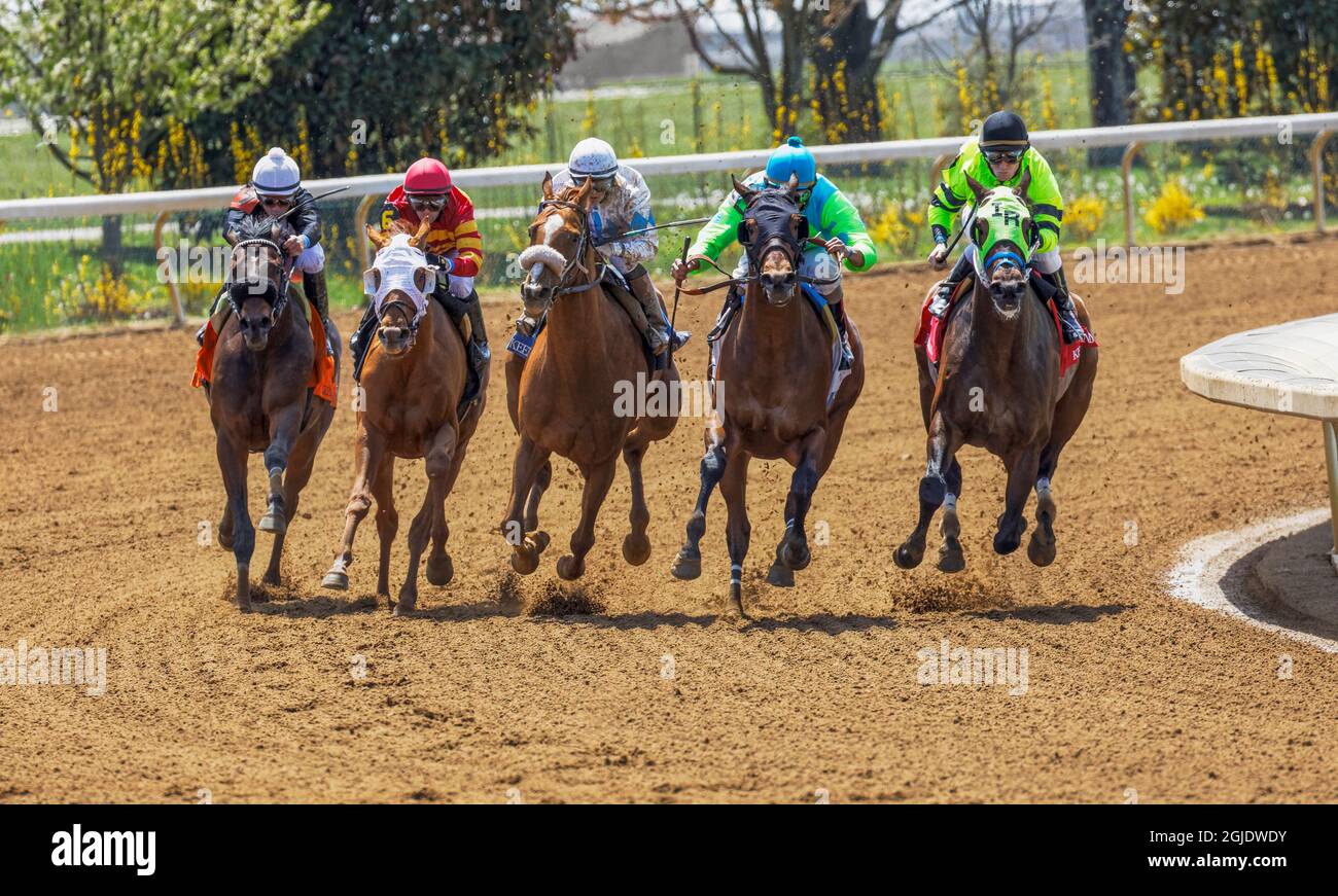 Thoroughbred horse racing at Keeneland race track at spring meet