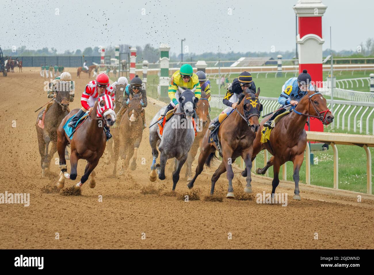 Thoroughbred horse racing at historic Keeneland race track, Bluegrass