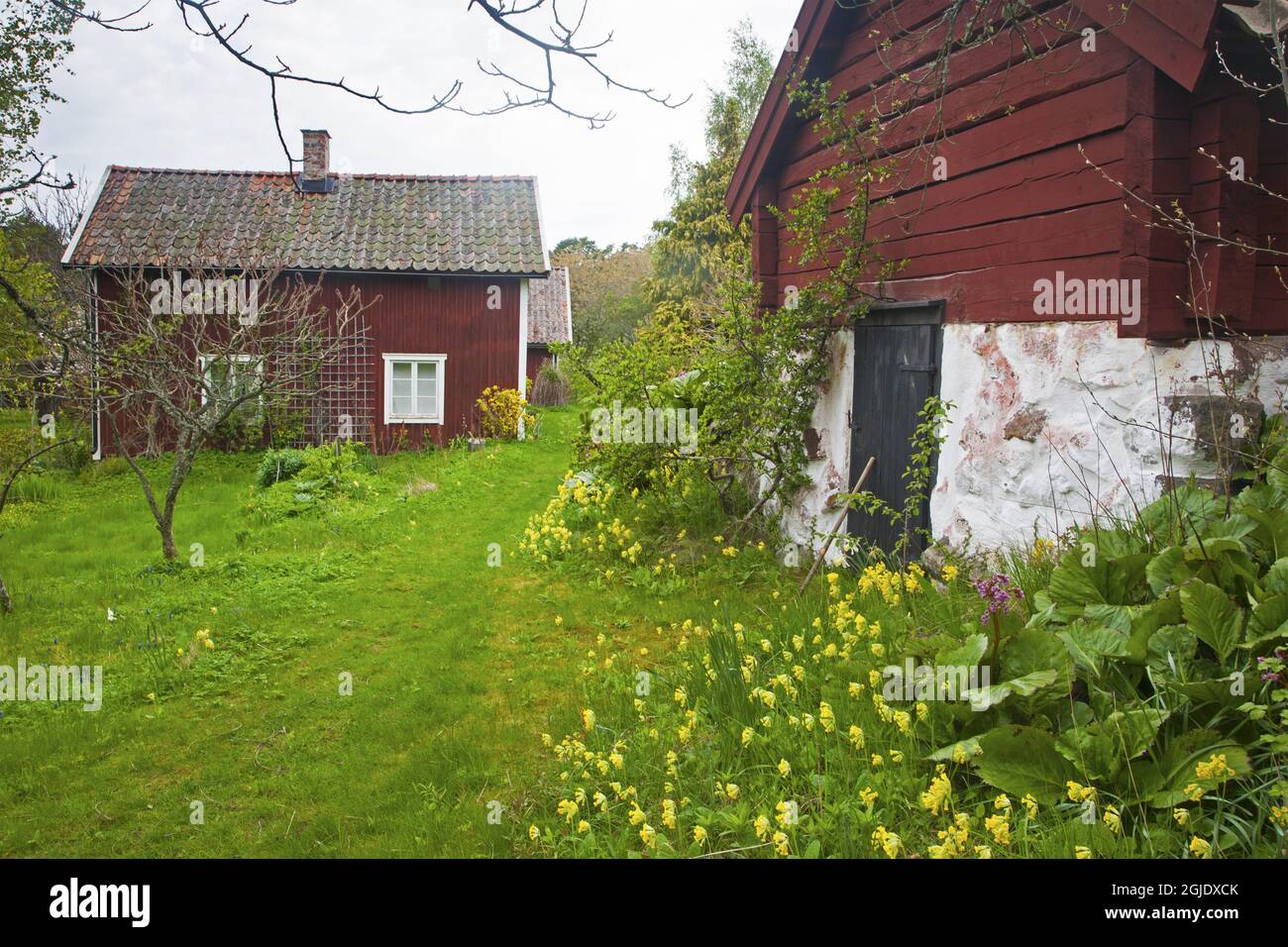 Savo sweden hires stock photography and images Alamy