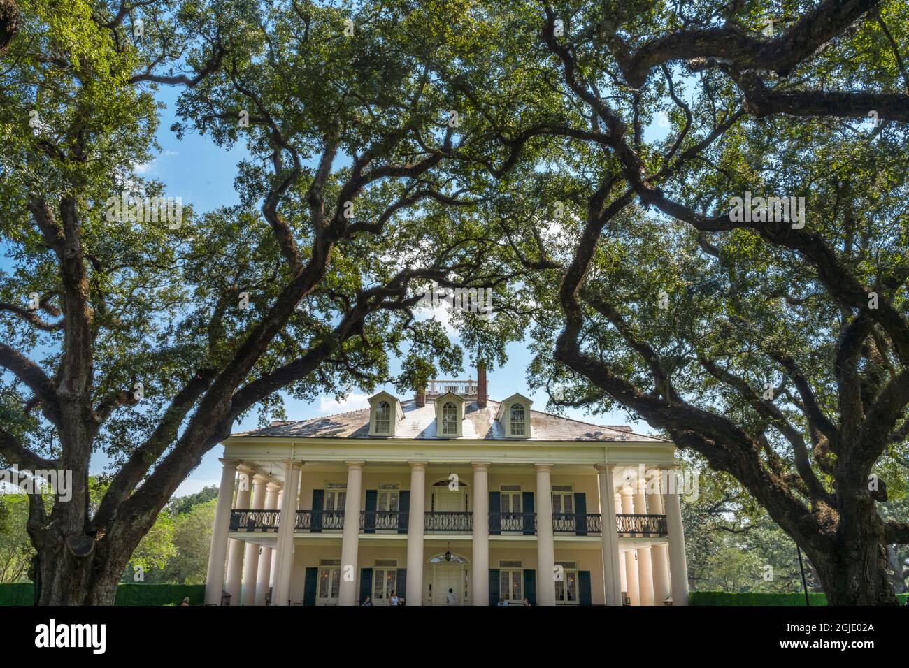 Oak trees in Oak Alley Plantation House, Vacherie, Saint James Parish, Louisiana. Sugar plantation built in early 1800's based on slavery. Plantation Stock Photo