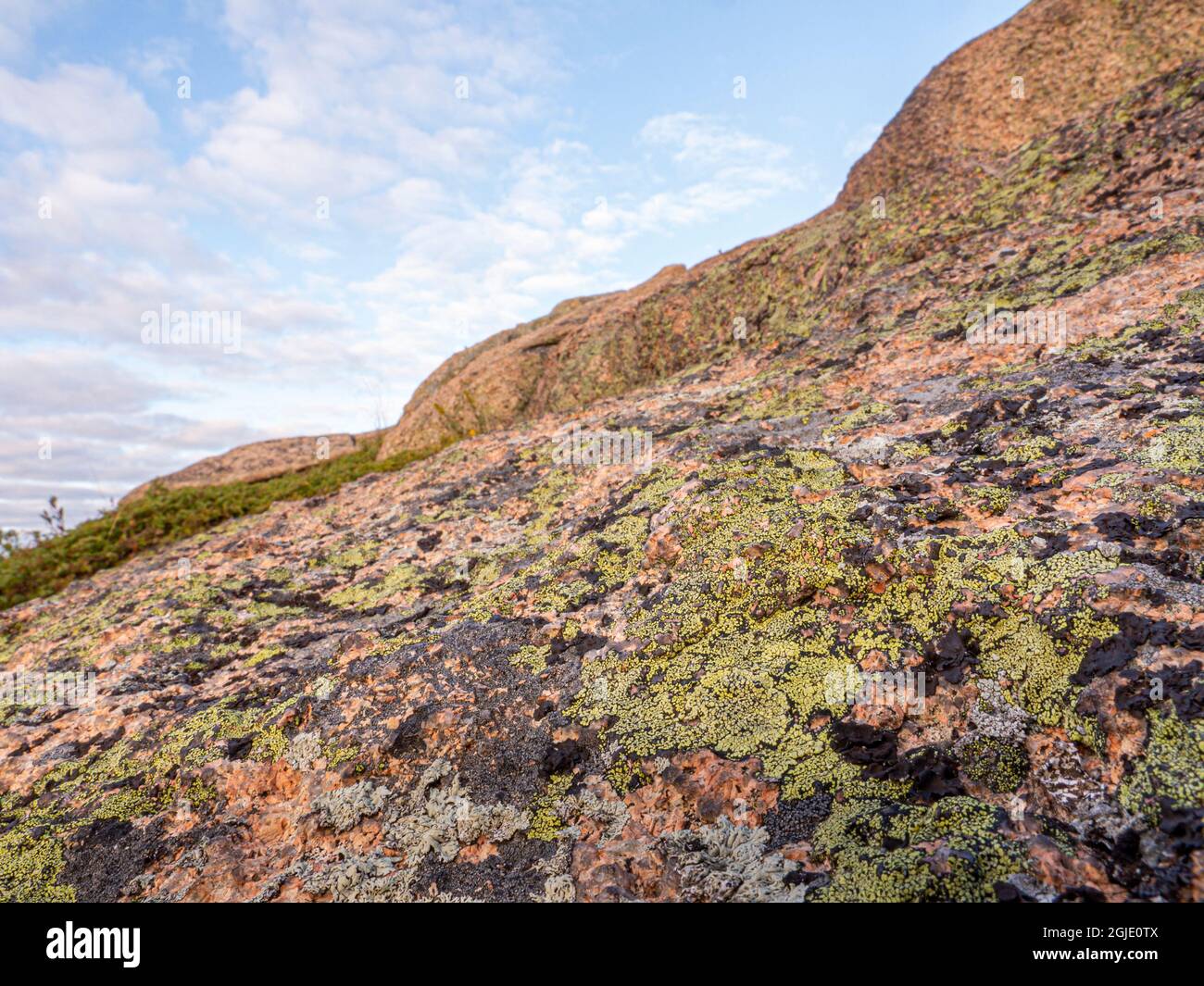 Lichen on granite, top of Cadillac Mountain, Acadia National Park, Maine Stock Photo