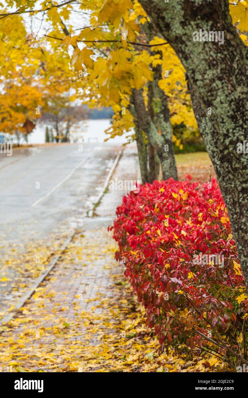 USA, Maine, Wiscasset with autumn foliage Stock Photo Alamy