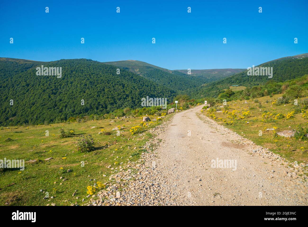 Path, Brañavieja, Cantabria, Spain. Stock Photo