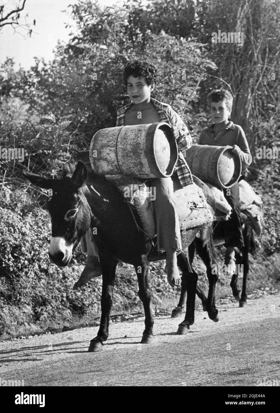 1973-09-21 Two boys on their donkeys outside Skikda. They are riding home after having bought gas bottles for 10 Dinars. Photo: Stig A Nilsson / DN / TT / code 43  Stock Photo