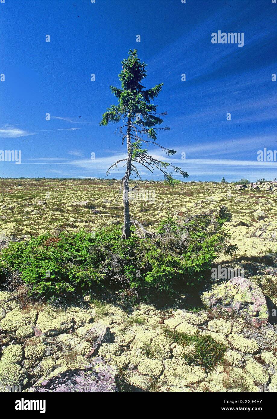950 years old hi-res stock photography and images - Alamy