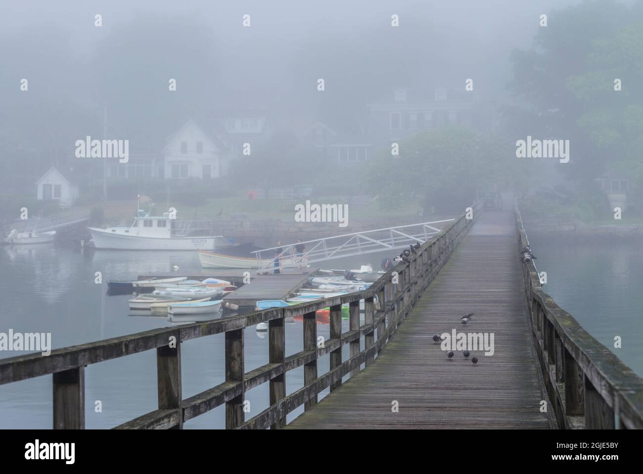 USA, Massachusetts, Cape Ann, Gloucester. Annisquam Footbridge in fog Stock Photo