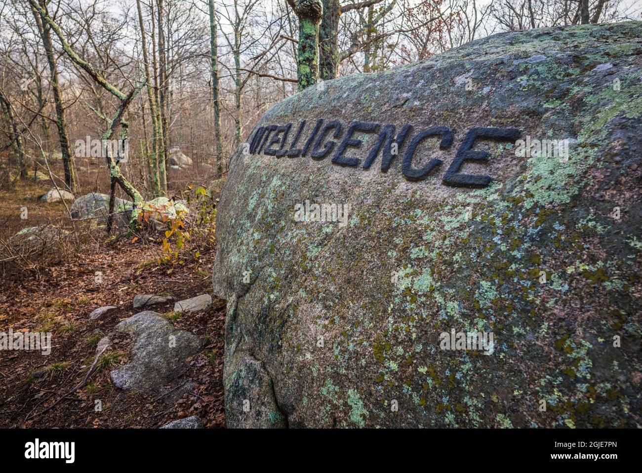 Dogtown rocks hi-res stock photography and images - Alamy