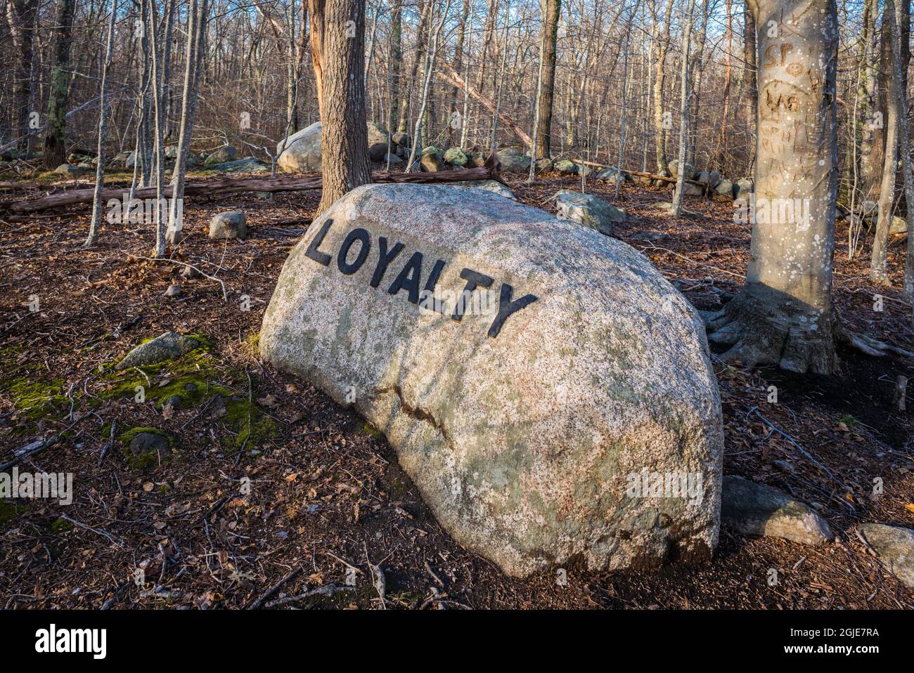 USA, Massachusetts, Cape Ann, Gloucester. Dogtown Rocks, inspirational ...