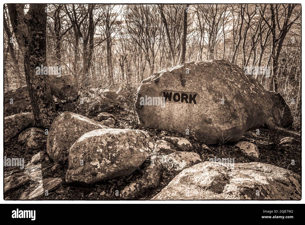 USA, Massachusetts, Cape Ann, Gloucester. Dogtown Rocks, inspirational ...
