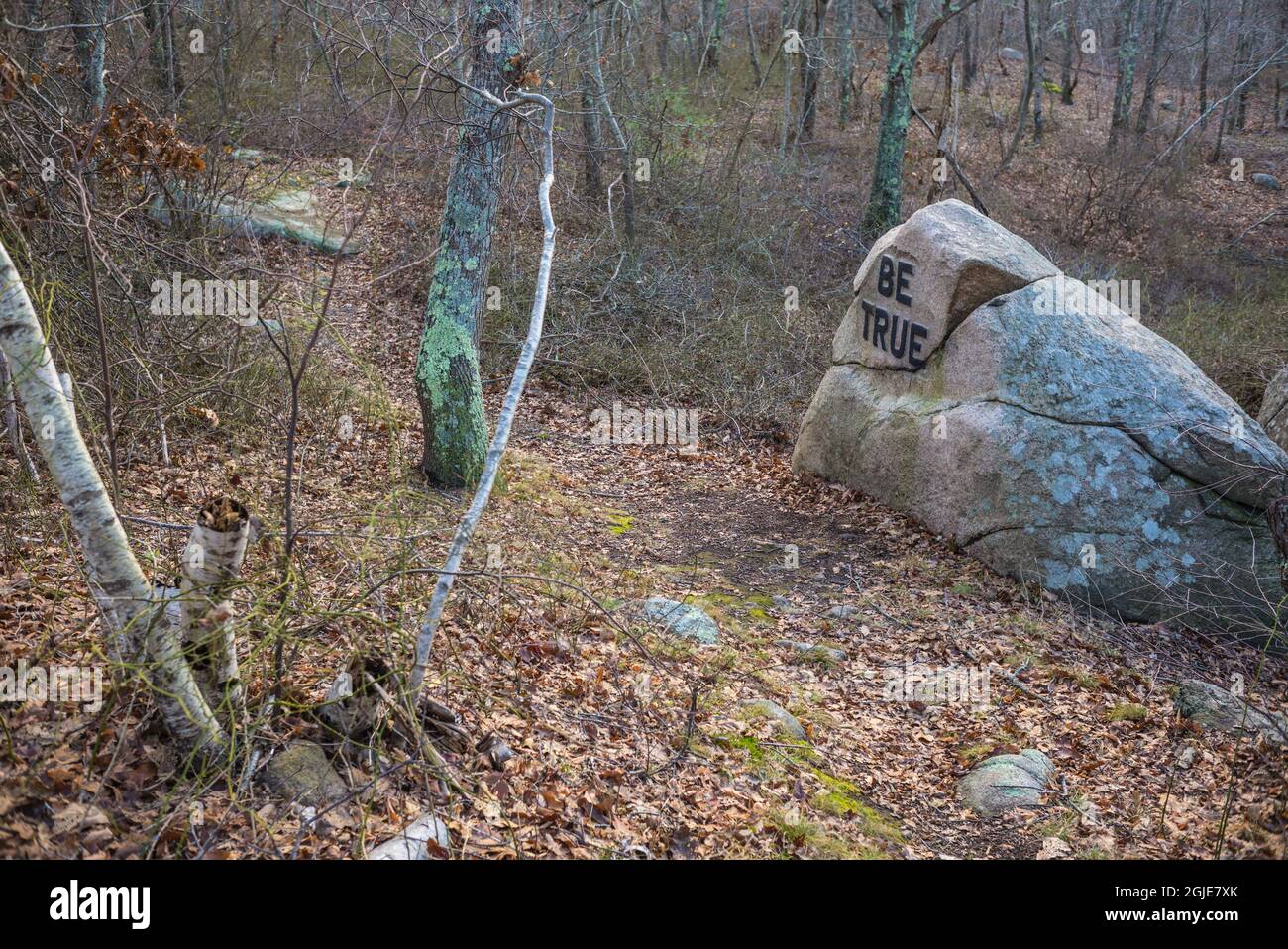 USA, Massachusetts, Cape Ann, Gloucester. Dogtown Rocks, inspirational ...