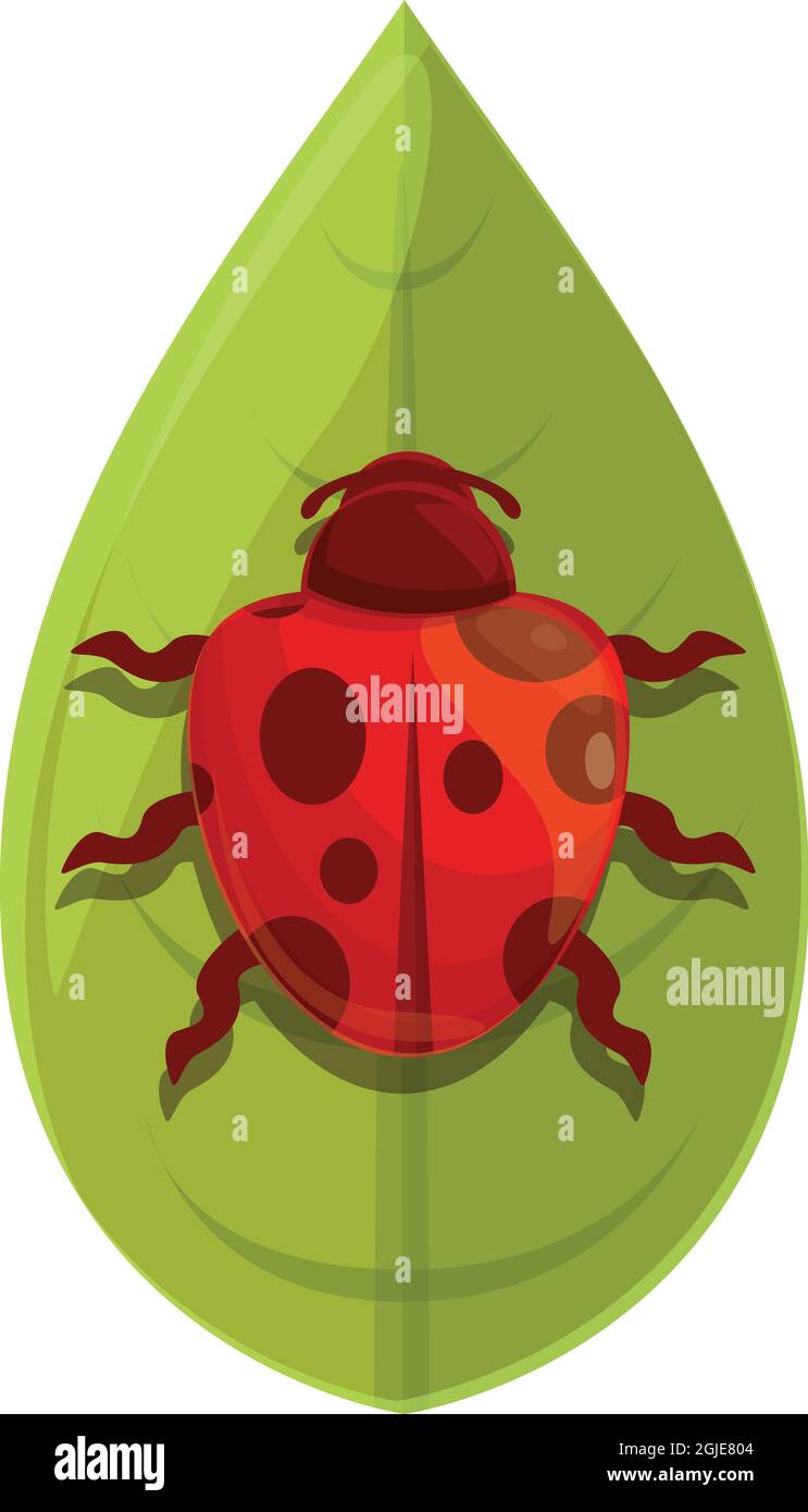 Plant ladybug icon cartoon vector. Ladybird bug. Garden insect Stock ...