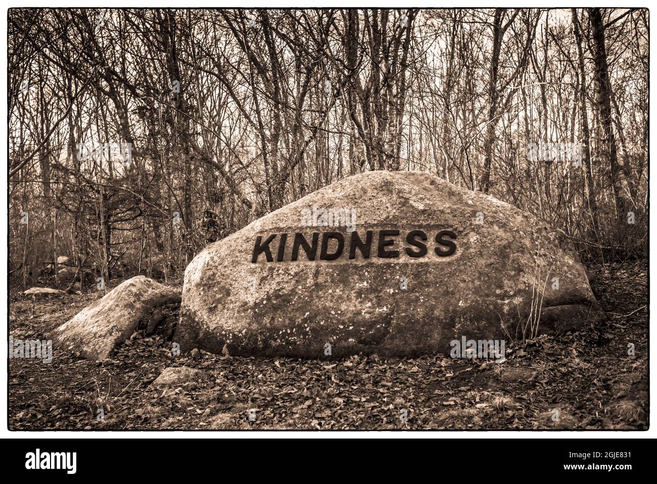 USA, Massachusetts, Cape Ann, Gloucester. Dogtown Rocks, inspirational ...