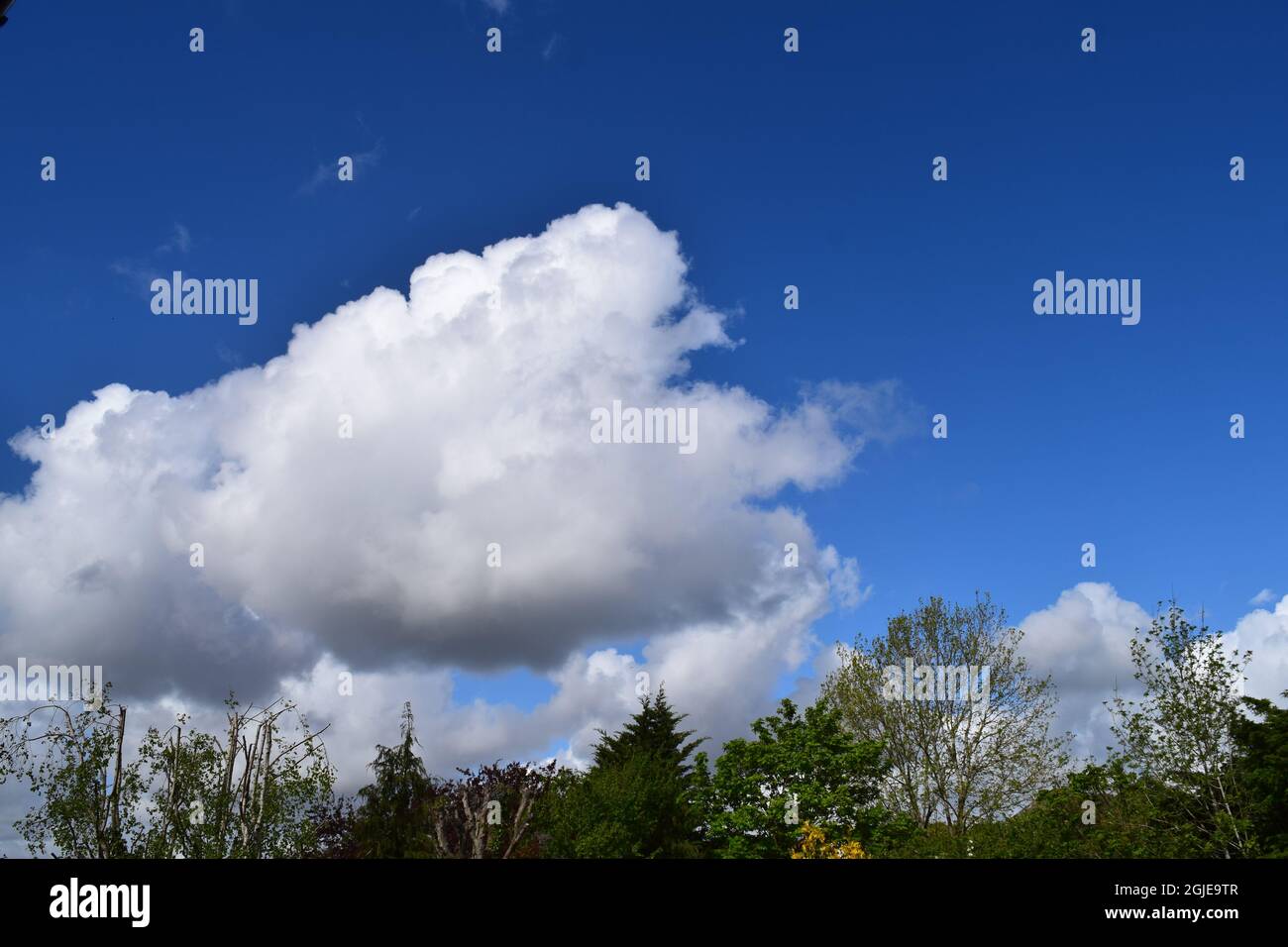 Large Cumulus cloud surrounded by clear blue sky on a May morning. Stock Photo