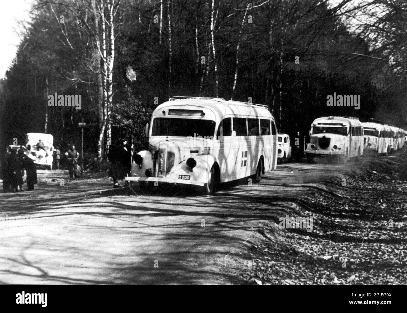 The Swedish Red cross White busses, organized by Swedish red Croww Chairman Count Folke Bernadotte whiched helped people to escape Germany during the final stage of the second world war Stock Photo