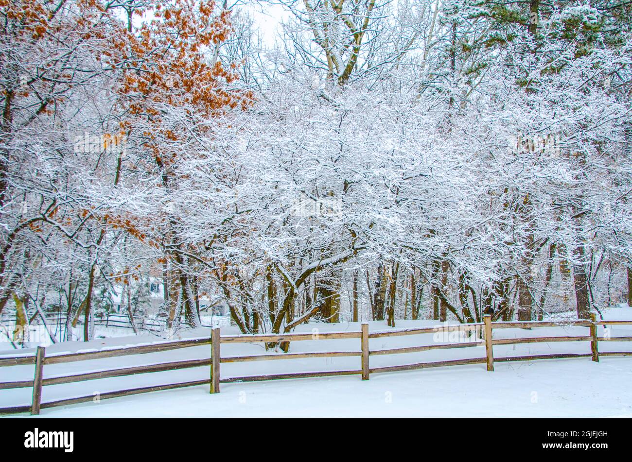 USA, Minnesota, Sunfish Lake, Rail Fence Framing Frosty Snow Covered