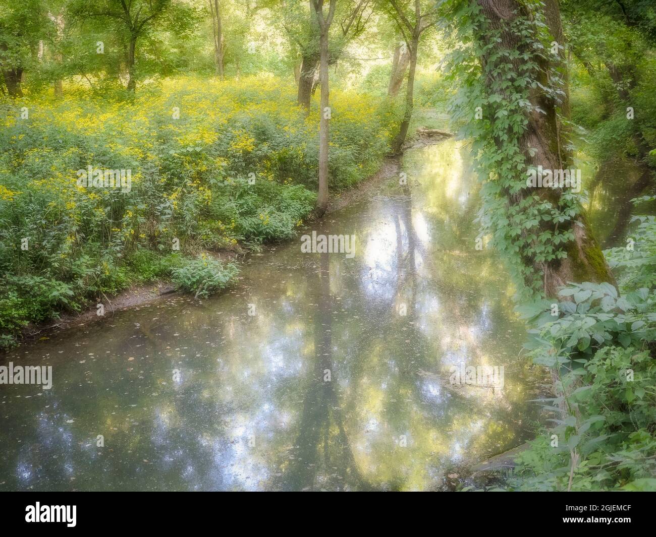 Pineville hires stock photography and images Alamy