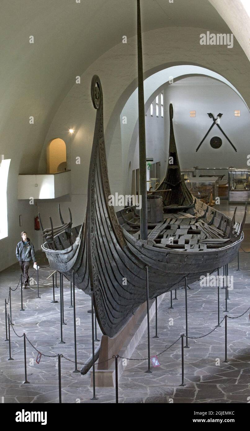 The Oseberg ship inside the Viking Ship Museum part of Museum of