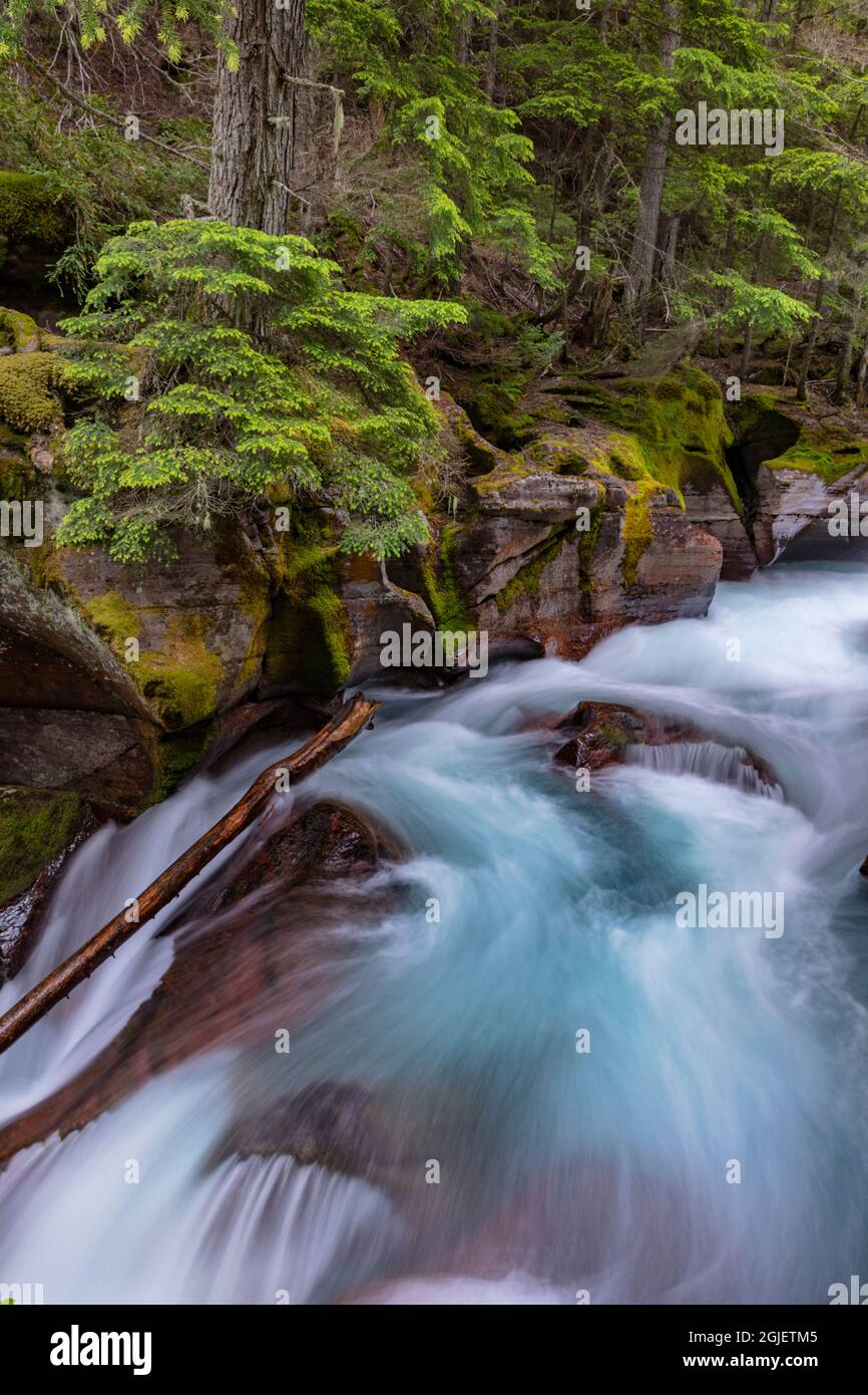 Avalanche Gorge In Glacier National Hi res Stock Photography And Images Avalanche Gorge In Glacier National Hi res Stock Photography And Images