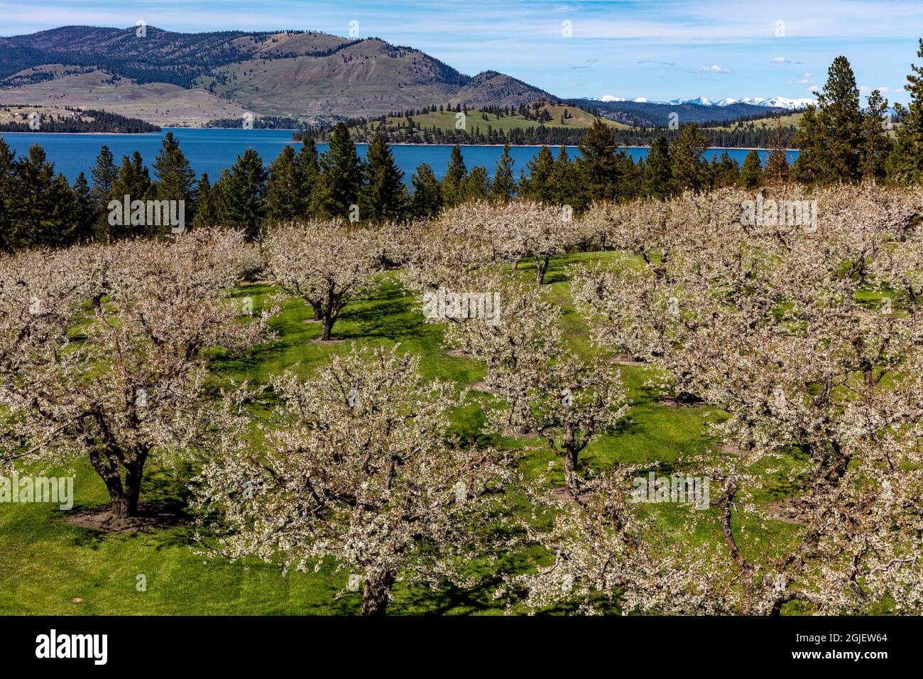 Polson montana cherry hires stock photography and images Alamy