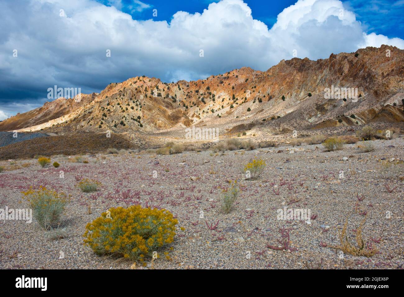 USA, Nevada, Nye County. Pilot Peak Stock Photo Alamy