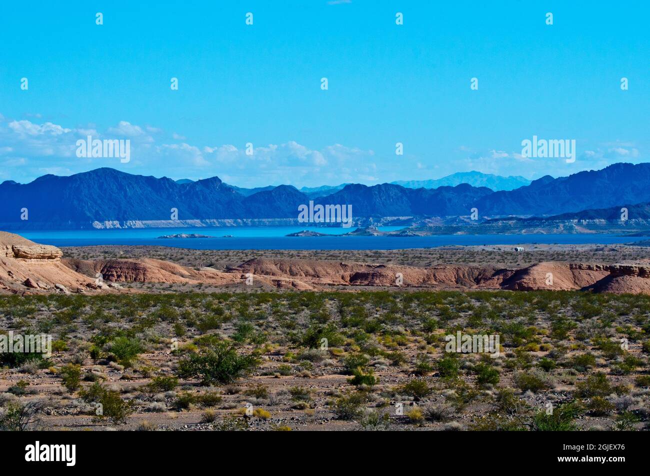 USA, Nevada, Lake Mead Recreation Area. Showing Lake Mead Bathtub Ring