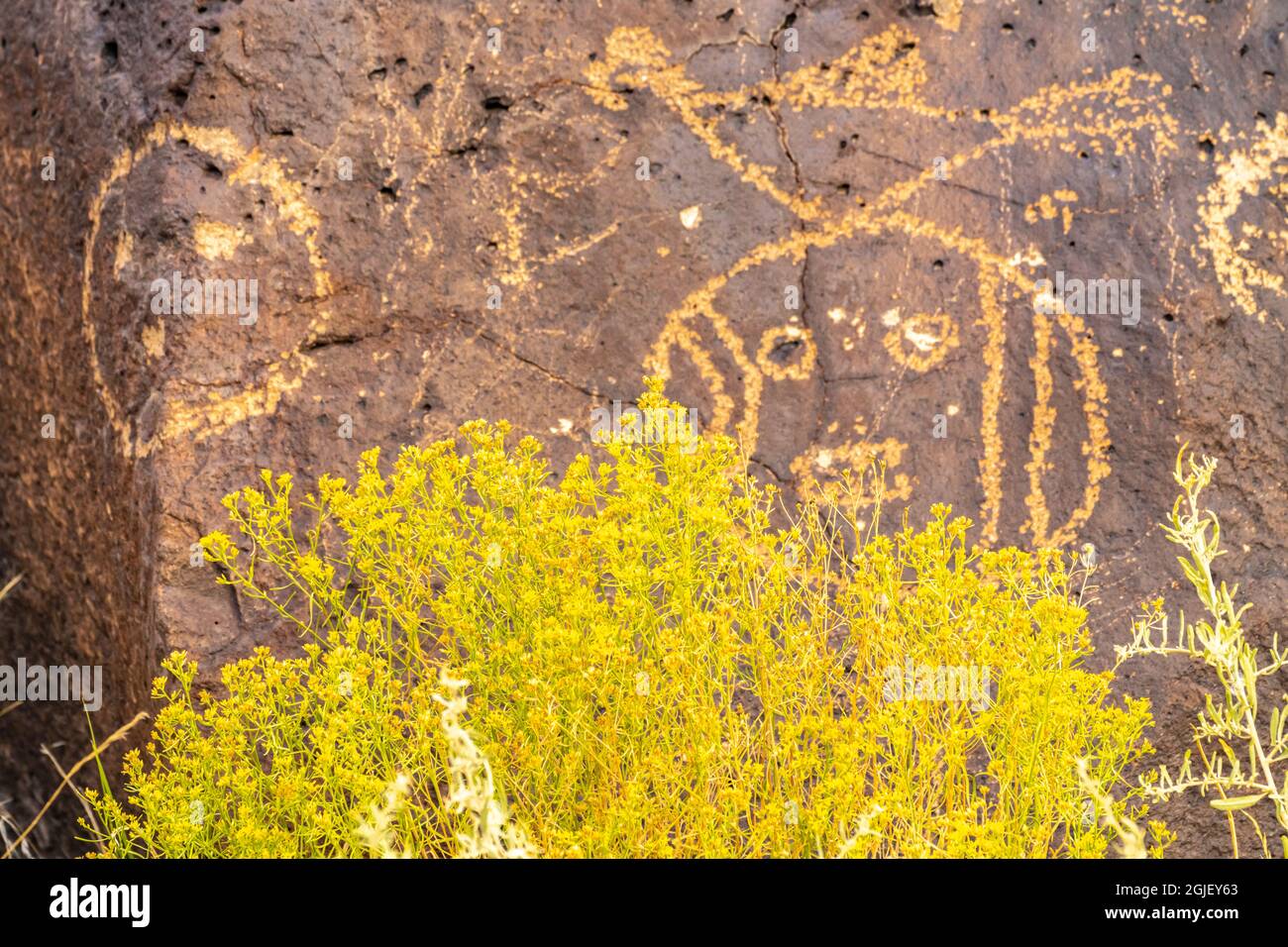 USA, New Mexico, Petroglyph National Monument. Petroglyph carvings on ...