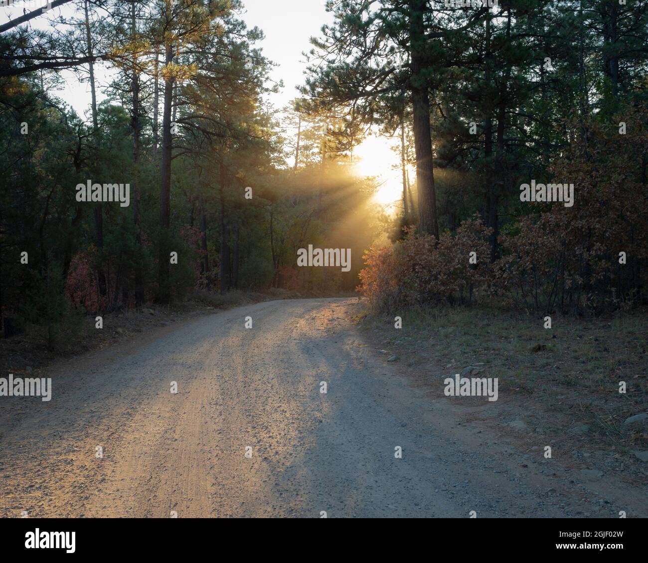 Manzano mountain wilderness hires stock photography and images Alamy