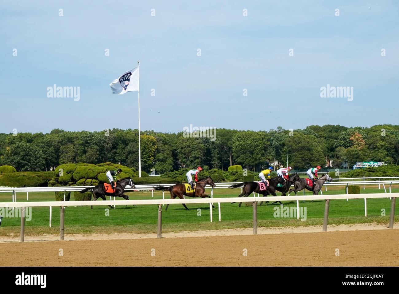 Horse races at Belmont Park, NY. (Editorial Use Only Stock Photo Alamy