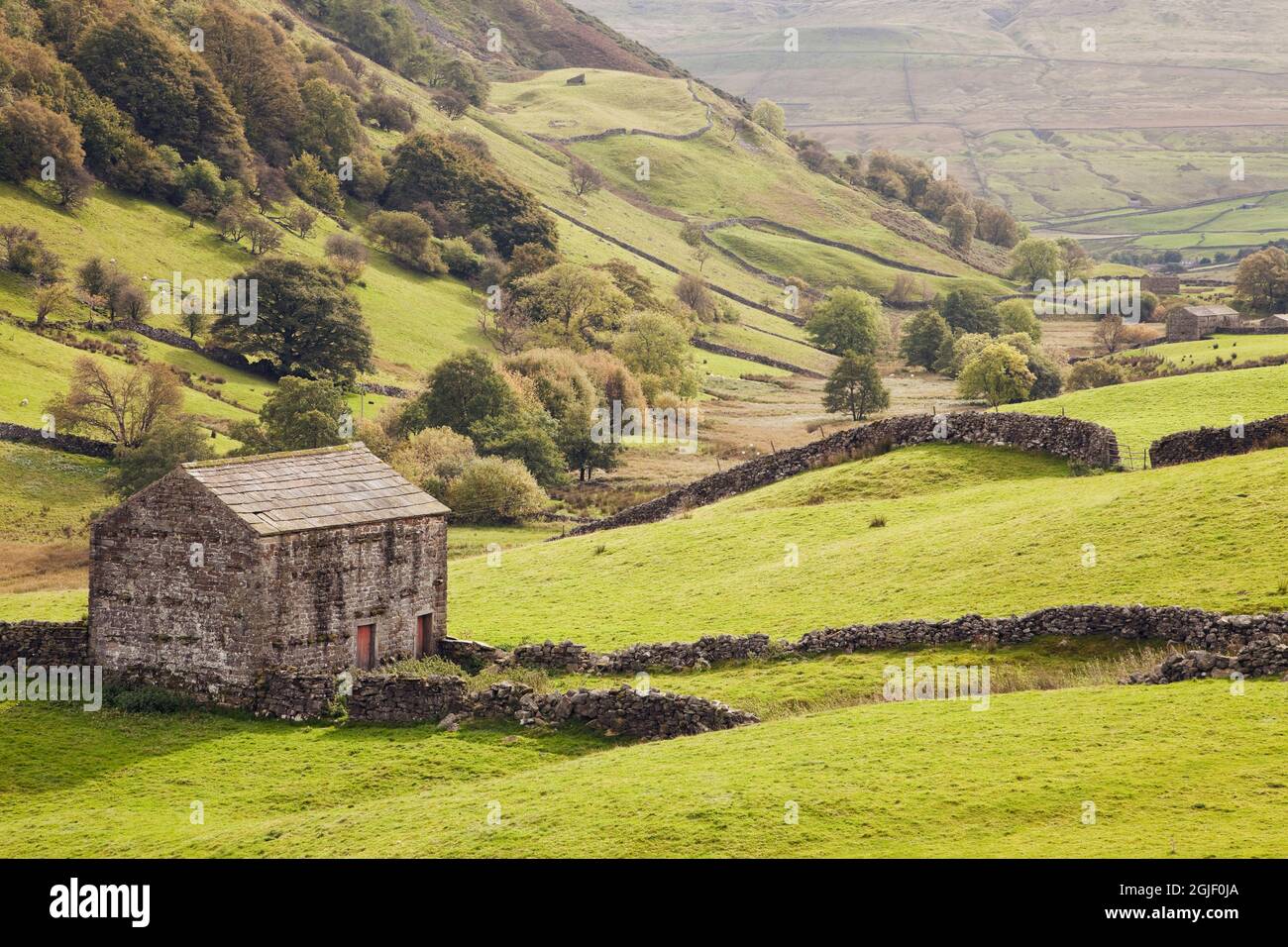 A barn near Angram in Swaledale, in the Yorkshire Dales, UK Stock Photo