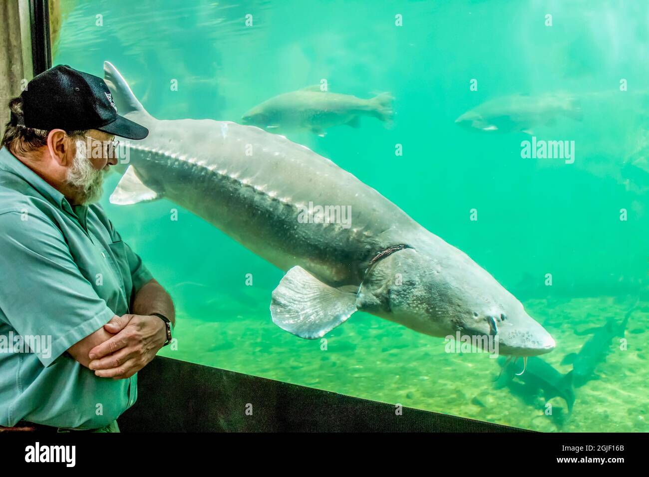 Cascade locks oregon hires stock photography and images Alamy